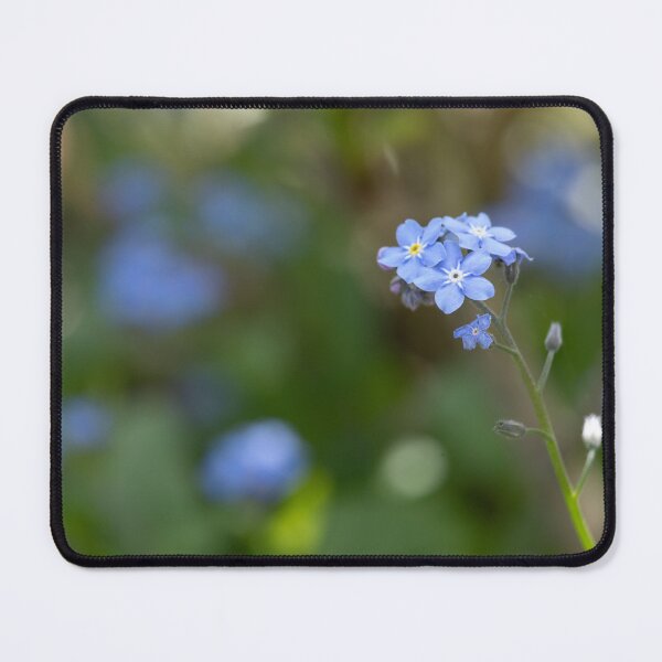 Item preview, Forget-me-not designed and sold by Calidris Fotografie Steffi & Ben Köppler.