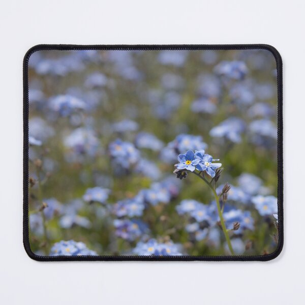 Item preview, forget Me Not designed and sold by Calidris Fotografie Steffi & Ben Köppler.