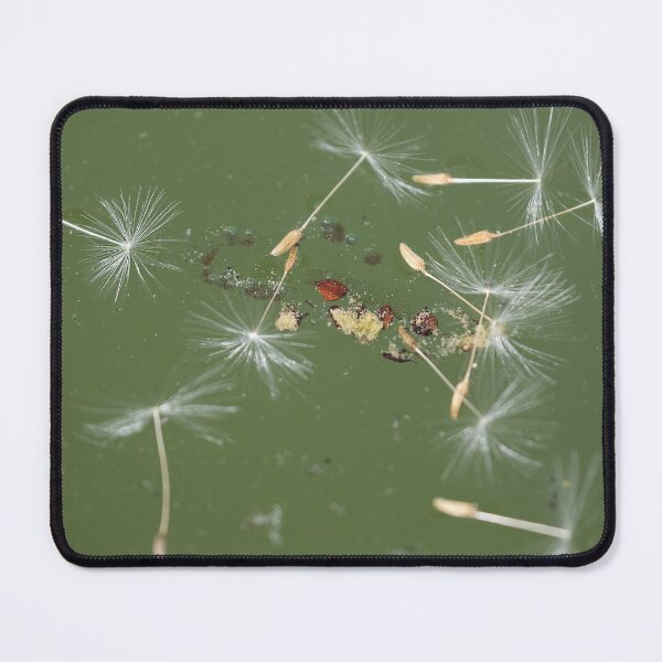 Item preview, Blowball designed and sold by Calidris Fotografie Steffi & Ben Köppler.