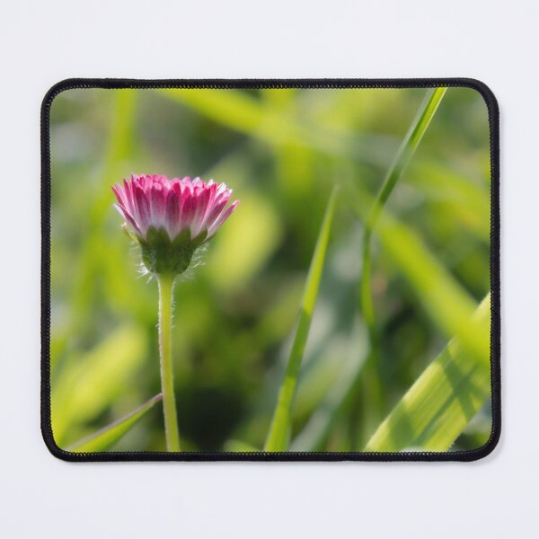Item preview, Daisy designed and sold by Calidris Fotografie Steffi & Ben Köppler.