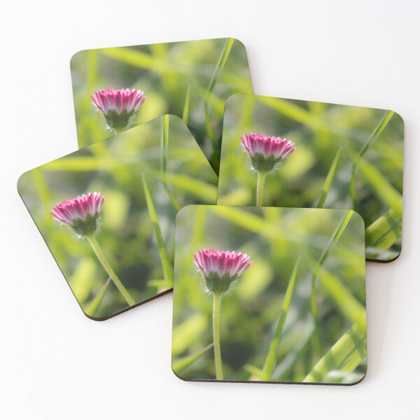 Item preview, Daisy designed and sold by Calidris Fotografie Steffi & Ben Köppler.
