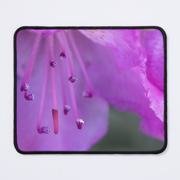 Item preview, Rhododendron designed and sold by Calidris Fotografie Steffi & Ben Köppler.