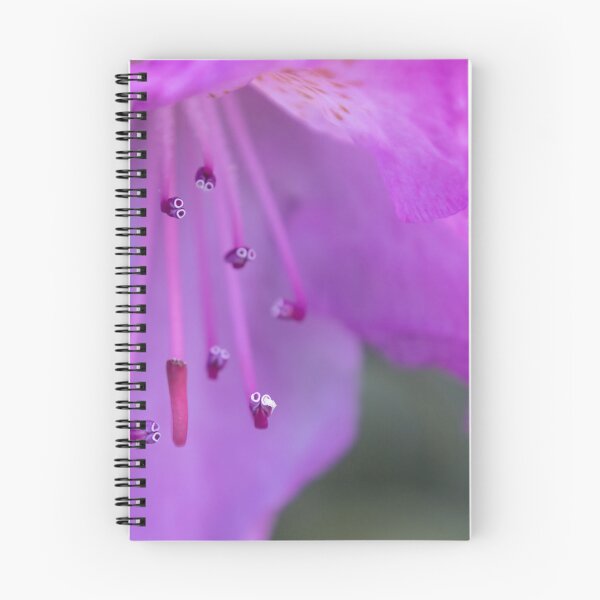 Artikelvorschau, Rhododendron entworfen und verkauft von Calidris Fotografie Steffi & Ben Köppler.