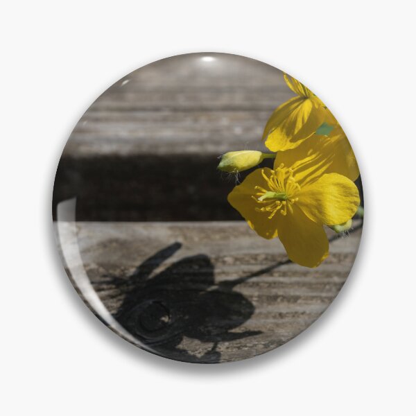 Item preview, Greater celandine designed and sold by Calidris Fotografie Steffi & Ben Köppler.