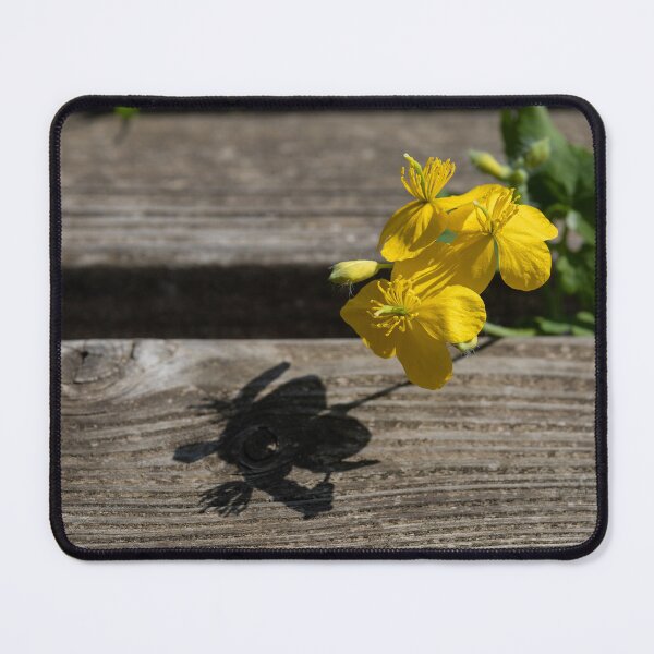 Item preview, Greater celandine designed and sold by Calidris Fotografie Steffi & Ben Köppler.