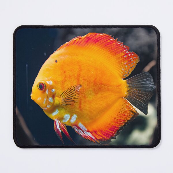 Item preview, Orange discus fish designed and sold by Martin Leber.