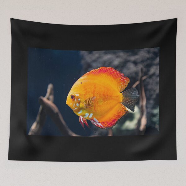 Item preview, Orange discus fish designed and sold by Martin Leber.