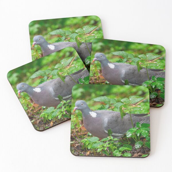 Item preview, common wood pigeon designed and sold by Martin Leber.