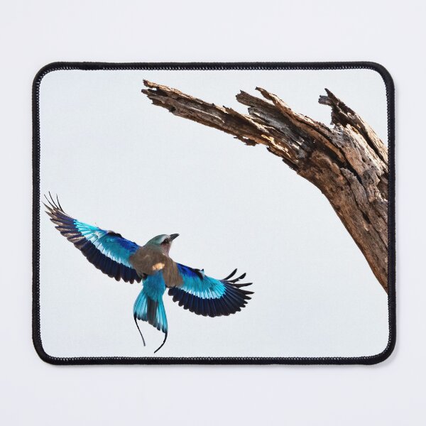 Item preview, Lilac-breasted roller designed and sold by MyAfricanSafari.