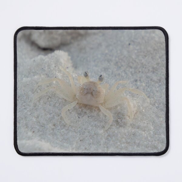 Item preview, Tiny Sand Crab designed and sold by TinyDinoDesigns.