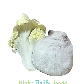 Artwork thumbnail, Hamster by RibboneDesign
