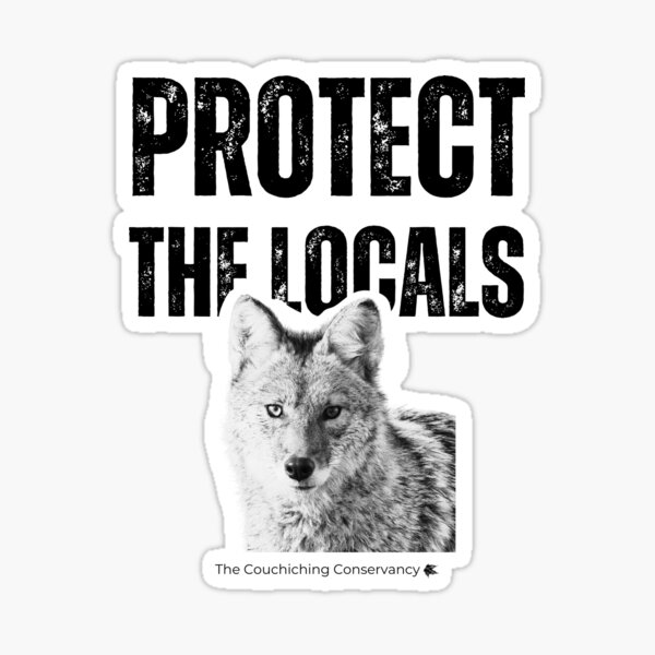 Item preview, Protect the Locals- Coyote designed and sold by Couchiching Conservancy.