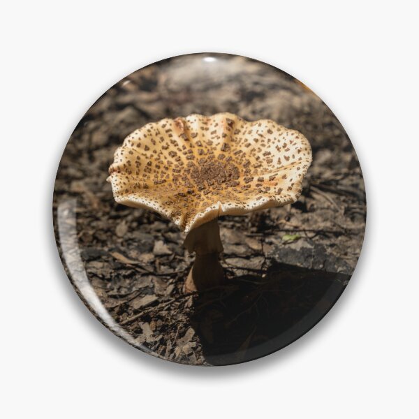 Item preview, Mushroom Vibes designed and sold by TinyDinoDesigns.