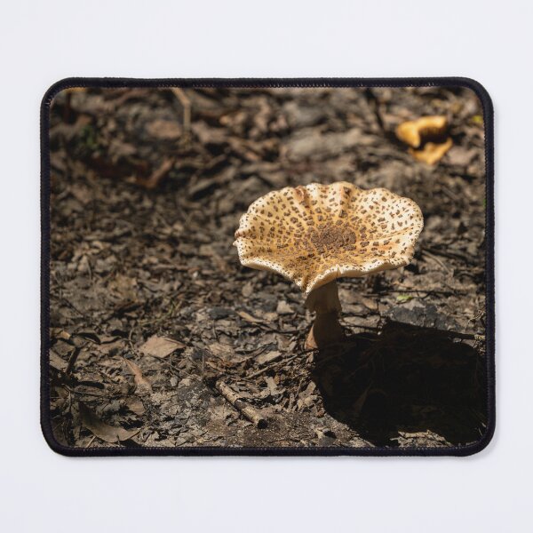 Item preview, Mushroom Vibes designed and sold by TinyDinoDesigns.