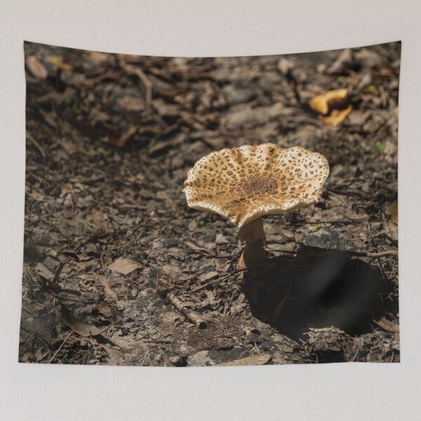 Item preview, Mushroom Vibes designed and sold by TinyDinoDesigns.