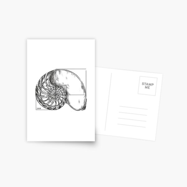 Item preview, Fibonacci on a nautilus shell - pencil drawing designed and sold by funmaths.