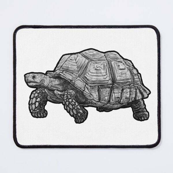 Item preview, Sulcata Tortoise (Centrochelys sulcata) designed and sold by ItalianElephant.