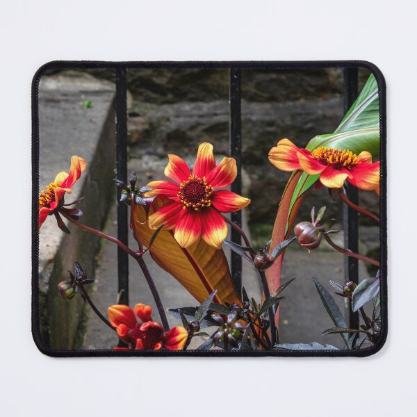 Item preview, Dahlia designed and sold by jasminewang.