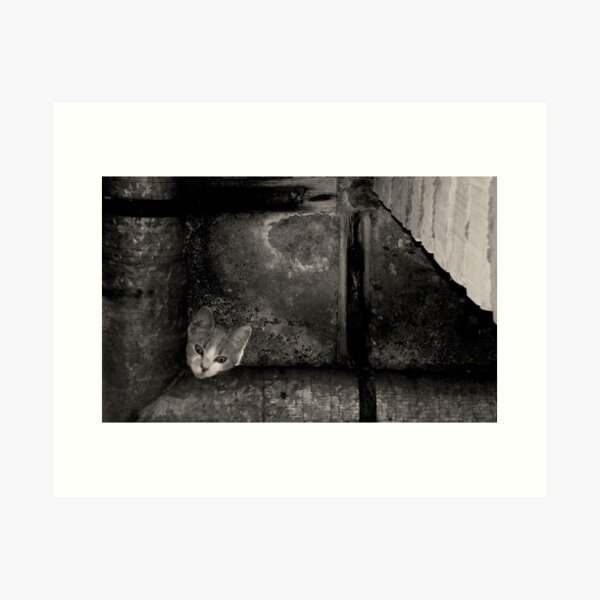 Hmm, hope I'm safe uphere Art Print