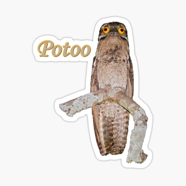 Item preview, Potoo Bird designed and sold by wistful-designs.