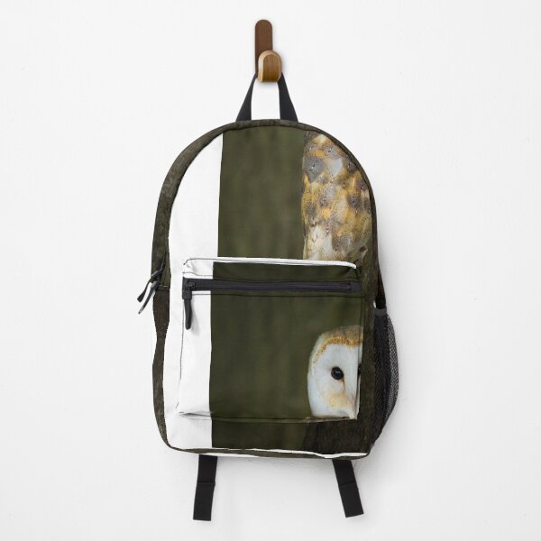 Item preview, Barn Owl 1 designed and sold by Nigel R Bell Photography.