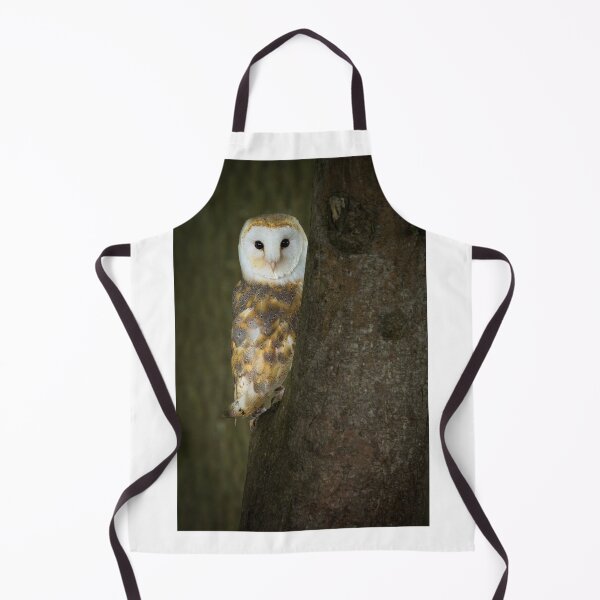 Item preview, Barn Owl 1 designed and sold by Nigel R Bell Photography.