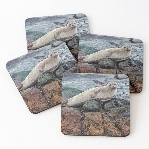 Item preview, Harbour Seal designed and sold by Tom McPherson Photography.