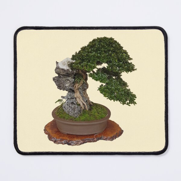 Item preview, Bonsai Tree 3 designed and sold by Emxemx.