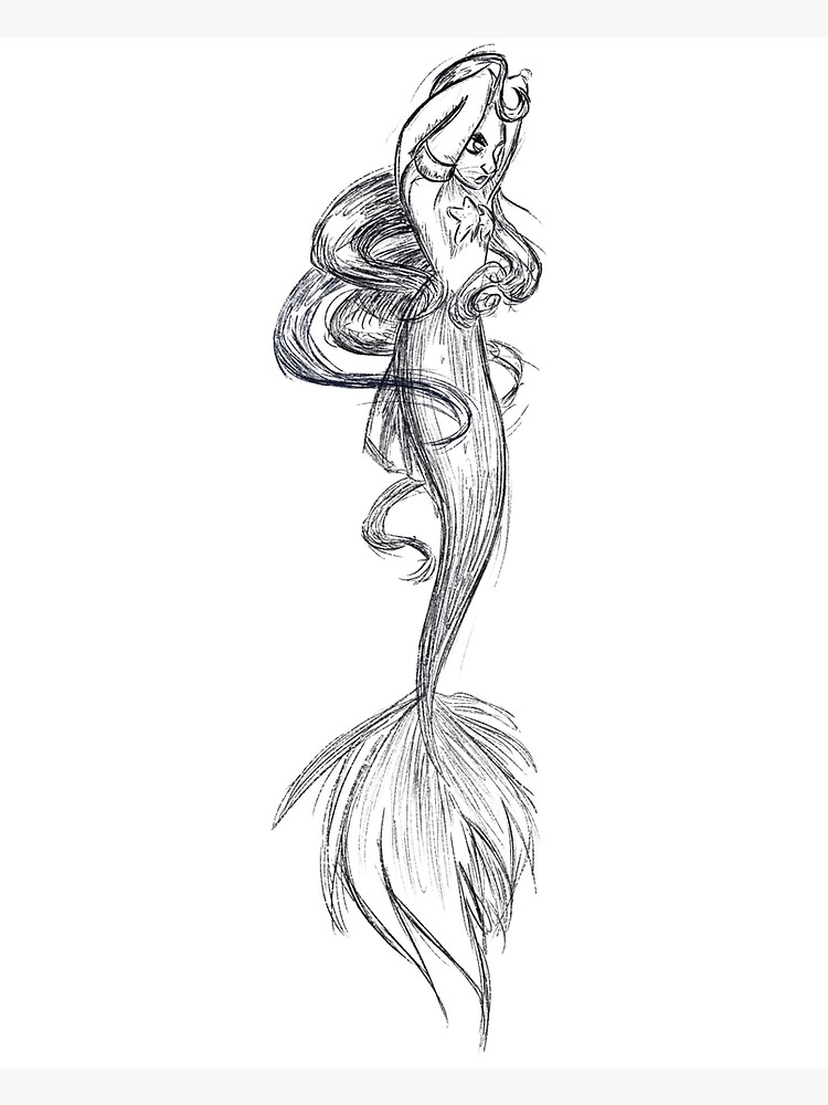 Three mermaids sketch, Mermaid Drawing Siren Sketch, Mermaid, legendary  Creature, white png | PNGEgg