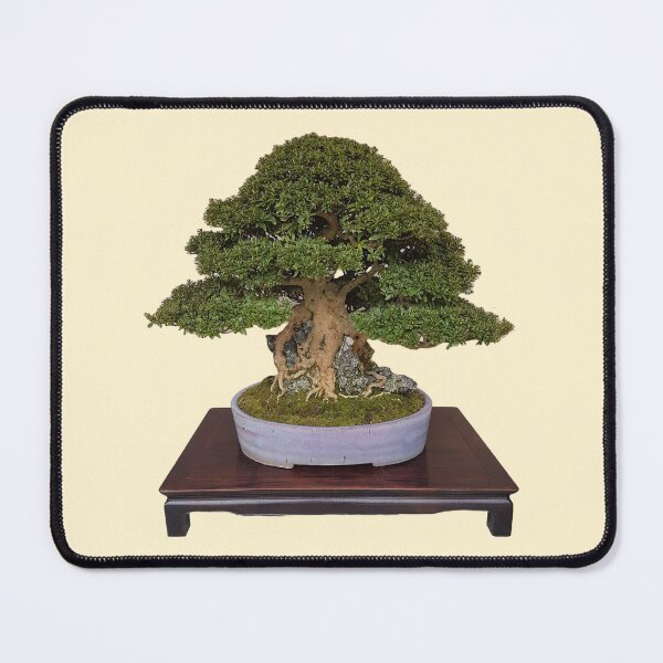 Item preview, Bonsai Tree 4 designed and sold by Emxemx.