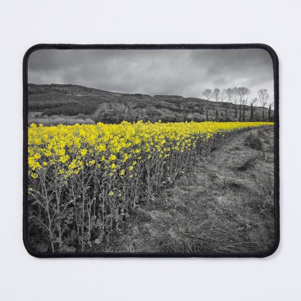 Item preview, Binevenagh on Yellow 2 designed and sold by Nigel R Bell Photography.