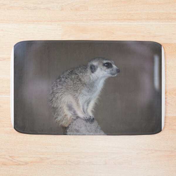 Item preview, Meerkat  designed and sold by AlijahsPhotos.