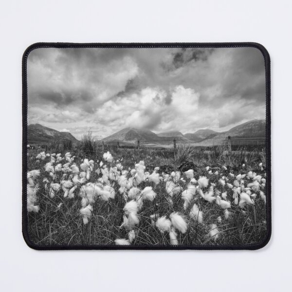 Item preview, Mournes Bog Cotton designed and sold by Nigel R Bell Photography.