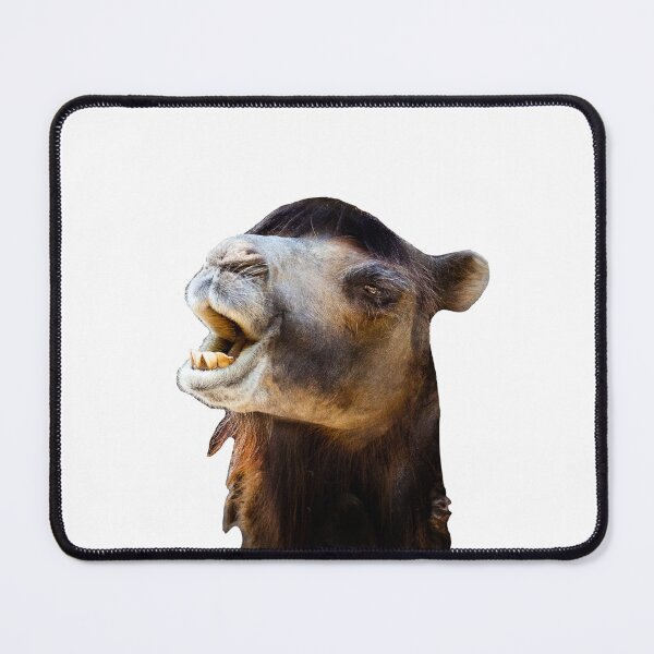 Item preview, Funny camel face designed and sold by CryptoLadyGabi.