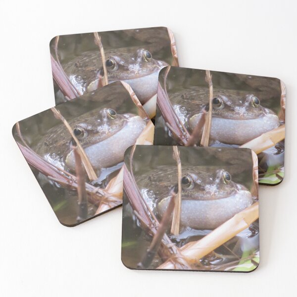 Item preview, Frog (Something Different) designed and sold by BsPhotographs.