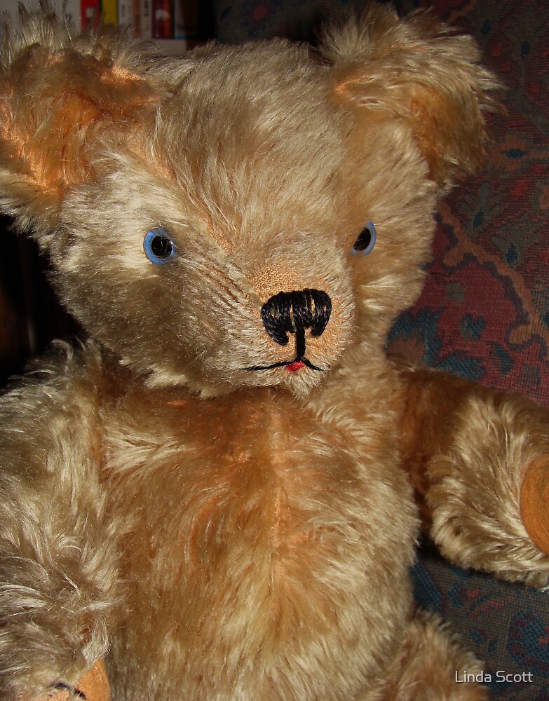 big eyes teddy