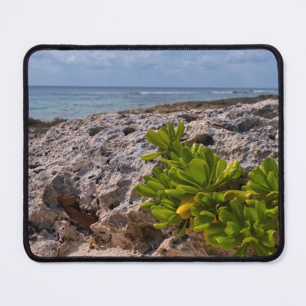 Item preview, Captivating Rocky Beachscape designed and sold by Compass and a Camera.