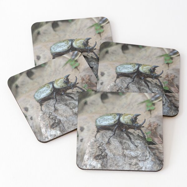 Item preview, Eastern Hercules Beetle  designed and sold by Bug Shots.