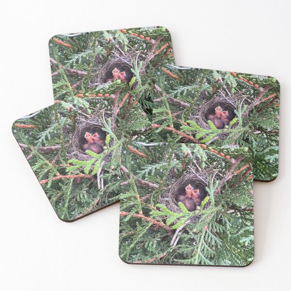 Item preview, Baby birds designed and sold by shachris.