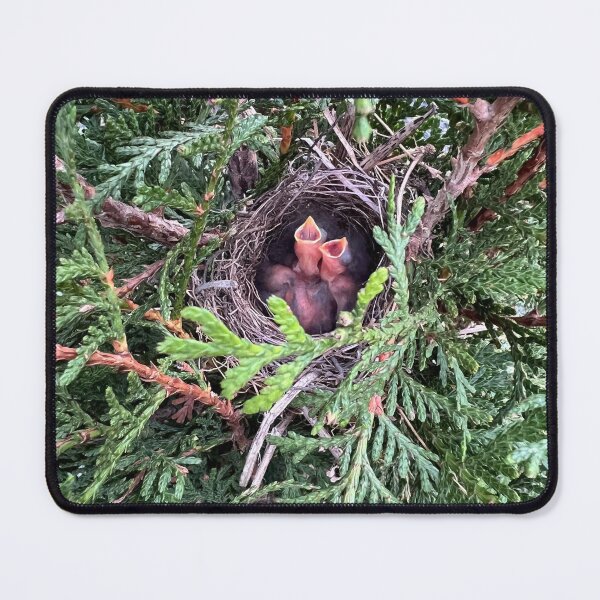 Item preview, Baby birds designed and sold by shachris.