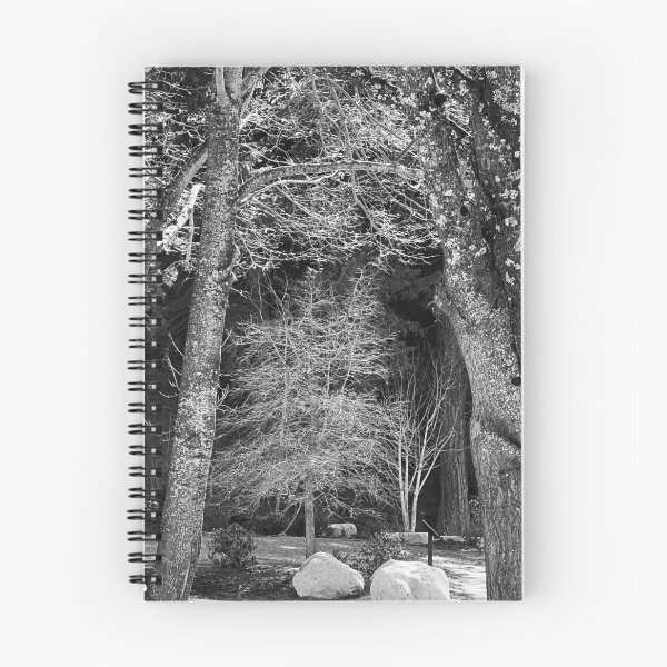 Item preview, Forest of Trees designed and sold by shachris.