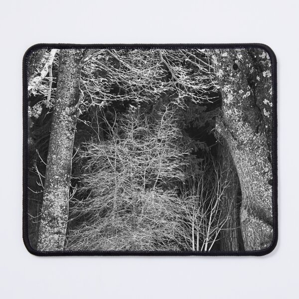 Item preview, Forest of Trees designed and sold by shachris.
