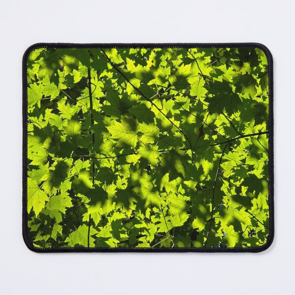 Item preview, Dappled Maple designed and sold by bjtomiko.