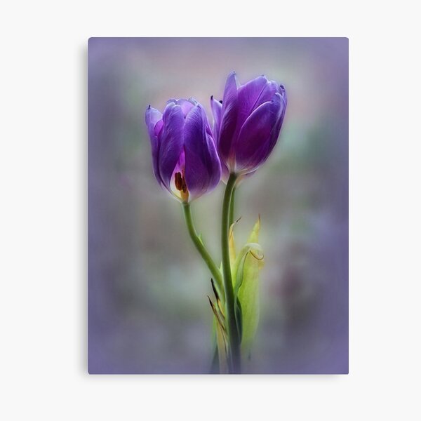 Aperçu de l'œuvre Tulipes violettes, déco créée et vendue par lauridonovick.