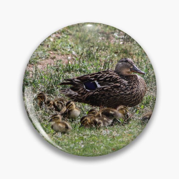 Item preview, Proud Mama! designed and sold by heatherfriedman.