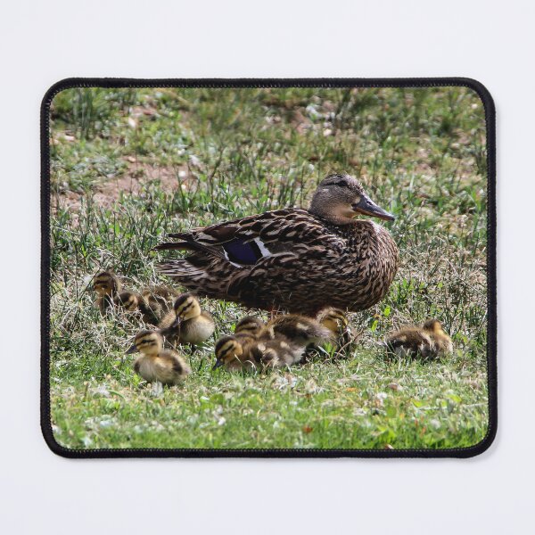Item preview, Proud Mama! designed and sold by heatherfriedman.
