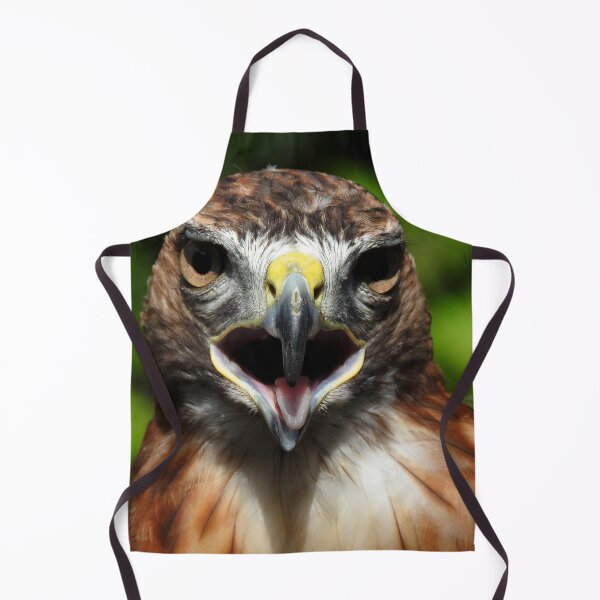 Item preview, Red Tail Hawk Close Up Photo designed and sold by Yellow Bird Studios.