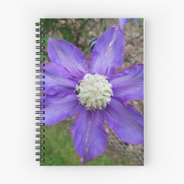 Item preview, Purple Clematis on Chain-link Fence designed and sold by Darlirra.