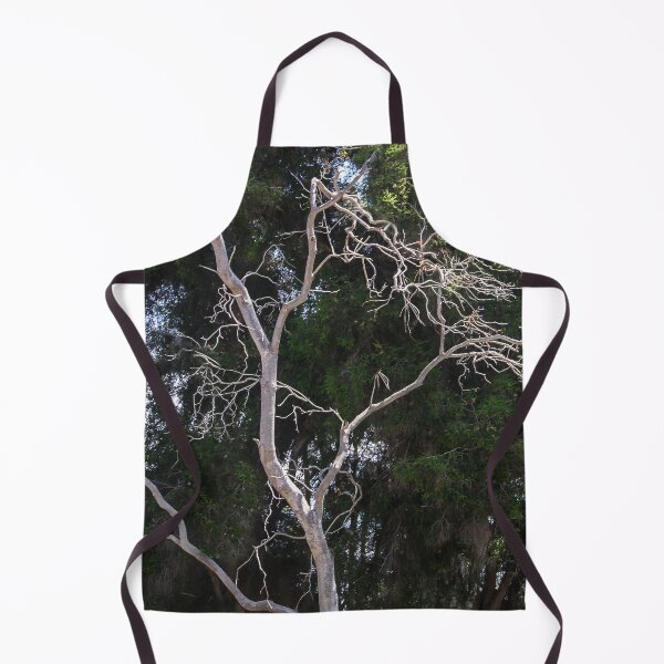 Item preview, Trees in Balboa Park, San Diego designed and sold by heatherfriedman.