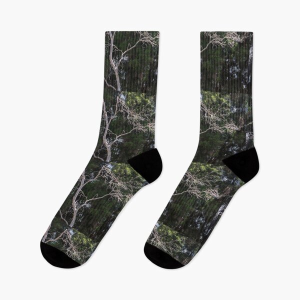 Item preview, Trees in Balboa Park, San Diego designed and sold by heatherfriedman.